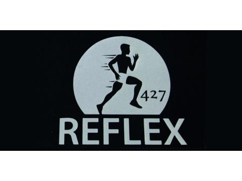 Chemica Poliuretano Reflex 427