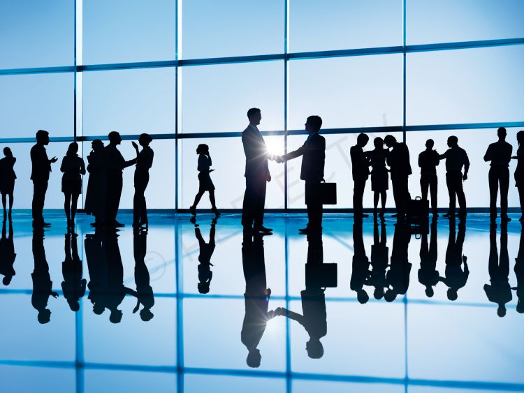 Reflectiv Láminas Protección Solar 75% - SOL 101